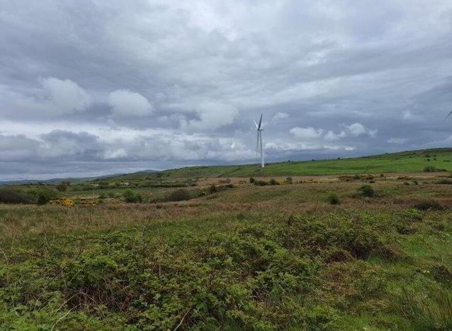 Cashel, Rossnowlagh