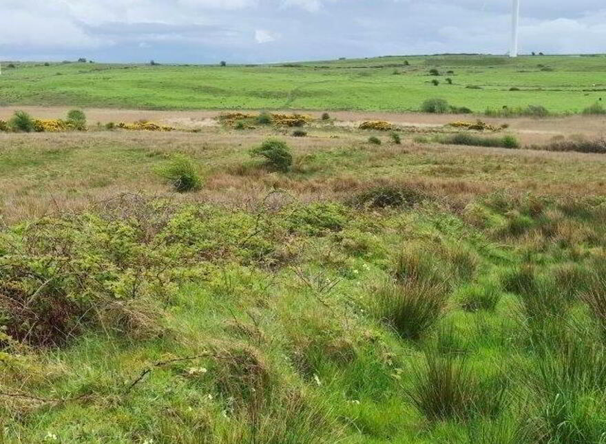 Cashel, Rossnowlagh