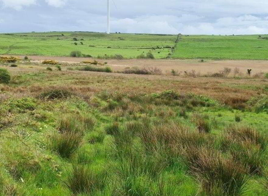 Cashel, Rossnowlagh