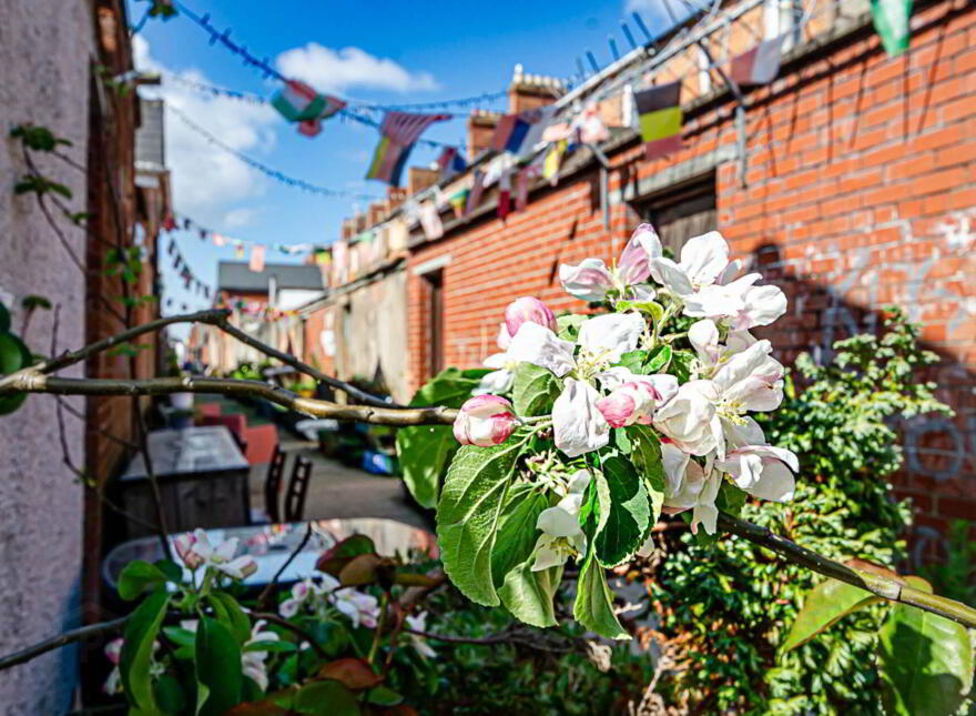 11 Reid Street, Cregagh, Belfast, BT6 8PE