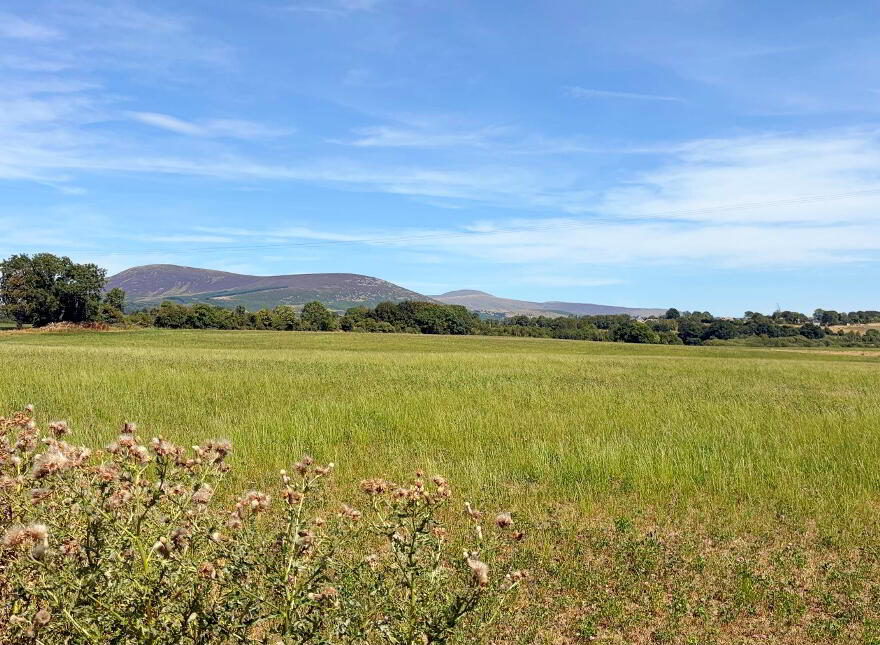 Killalish Lower, Kiltegan, Baltinglass, W91T6C3
