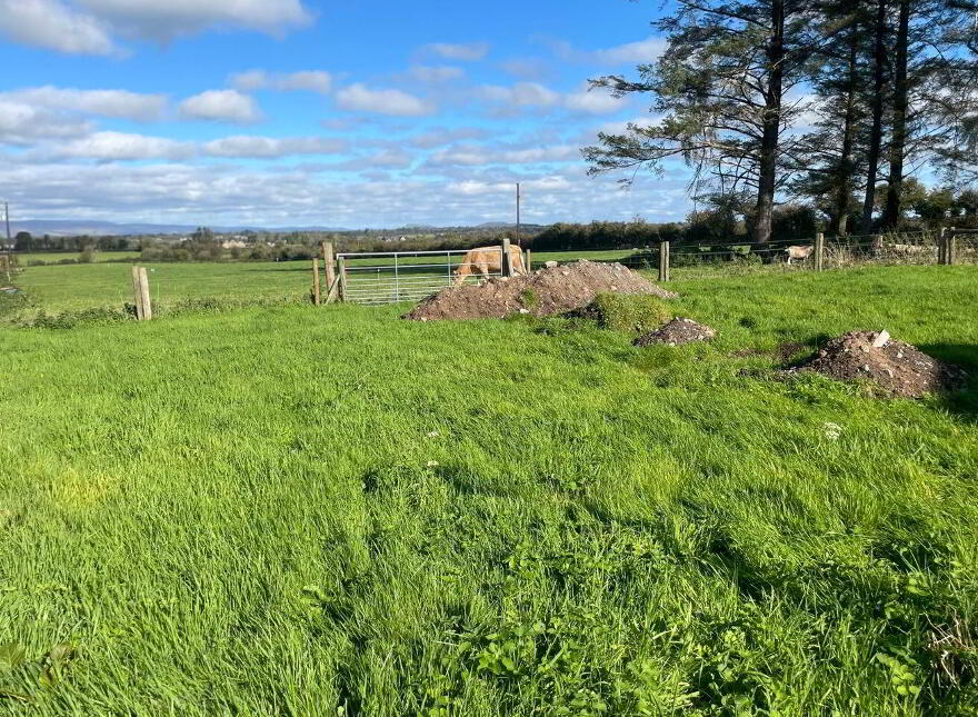 House, And 11.60 Acres Of Land, Bunnacranna, Curry, F12VH28
