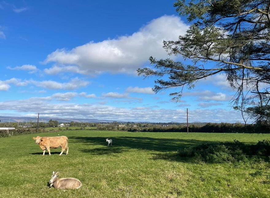 House, And 11.60 Acres Of Land, Bunnacranna, Curry, F12VH28