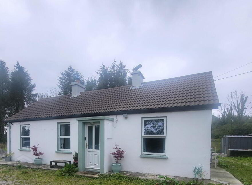 Pat Ali Cottage, Camagh, Ballinamore, N41VR66 photo