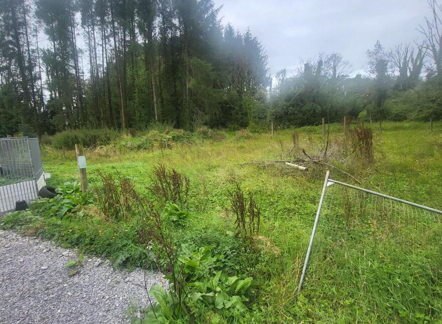Pat Ali Cottage, Camagh, Ballinamore, N41VR66