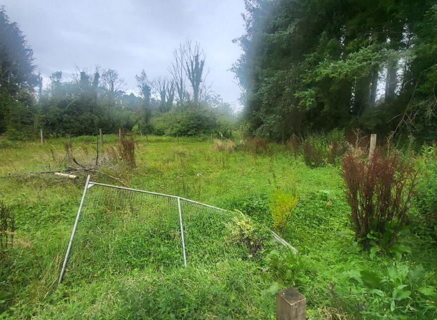 Pat Ali Cottage, Camagh, Ballinamore, N41VR66