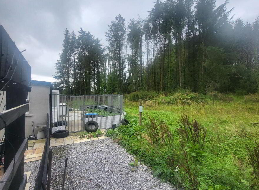 Pat Ali Cottage, Camagh, Ballinamore, N41VR66