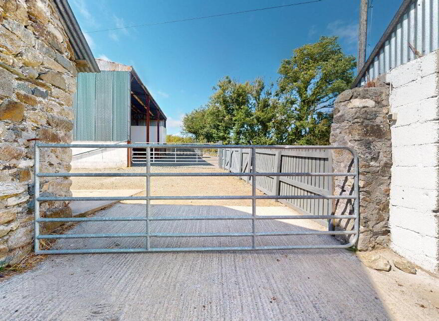 Brocurrow, Adamstown, Y21F303