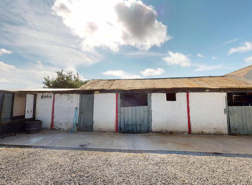 Brocurrow, Adamstown, Y21F303