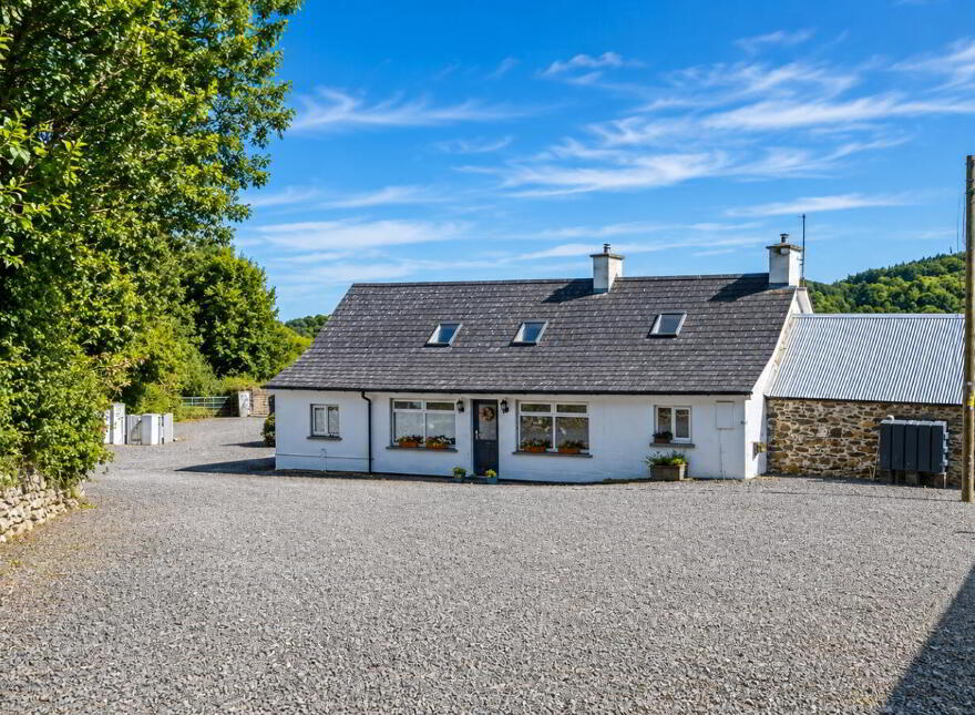 Brocurrow, Adamstown, Y21F303