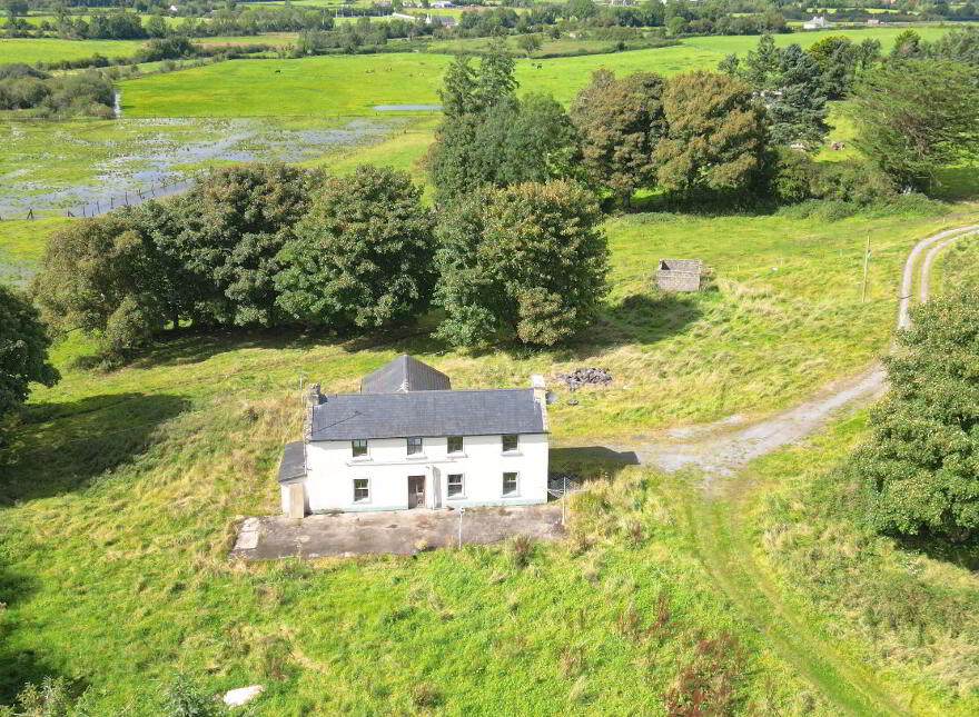 Parkmore, Athleague, F42AE27
