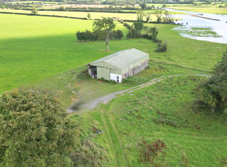 Parkmore, Athleague, F42AE27
