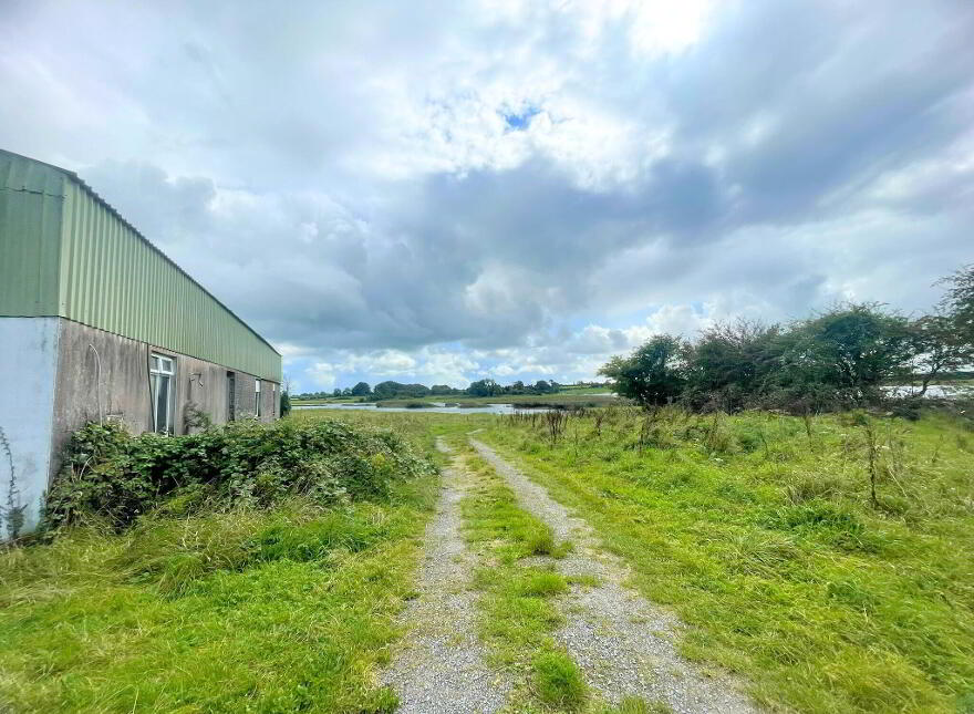 Parkmore, Athleague, F42AE27