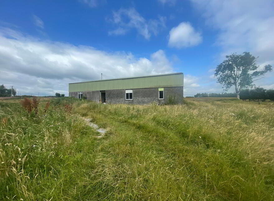 Parkmore, Athleague, F42AE27