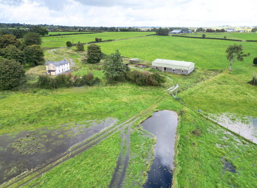 Parkmore, Athleague, F42AE27
