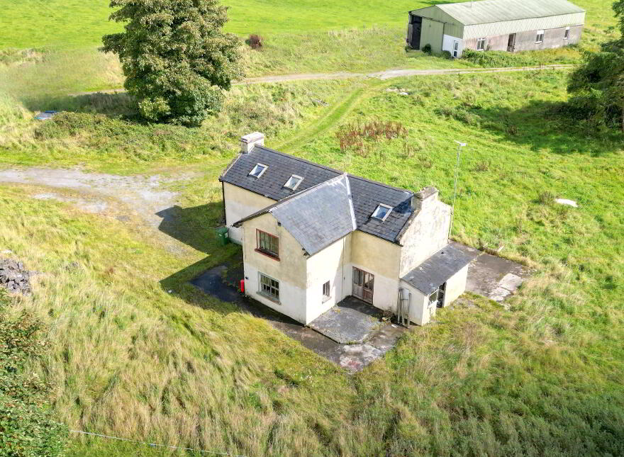 Parkmore, Athleague, F42AE27