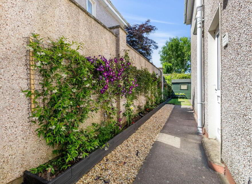 53 The Paddocks, Castleredmond, Midleton, P25PK20