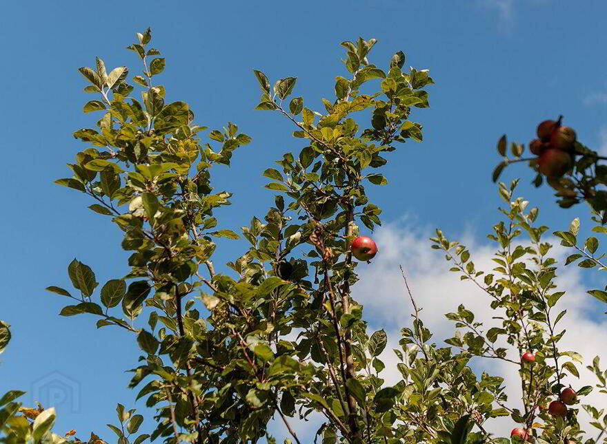 Glebe House, Clonea Lower, Dungarvan, X35H762