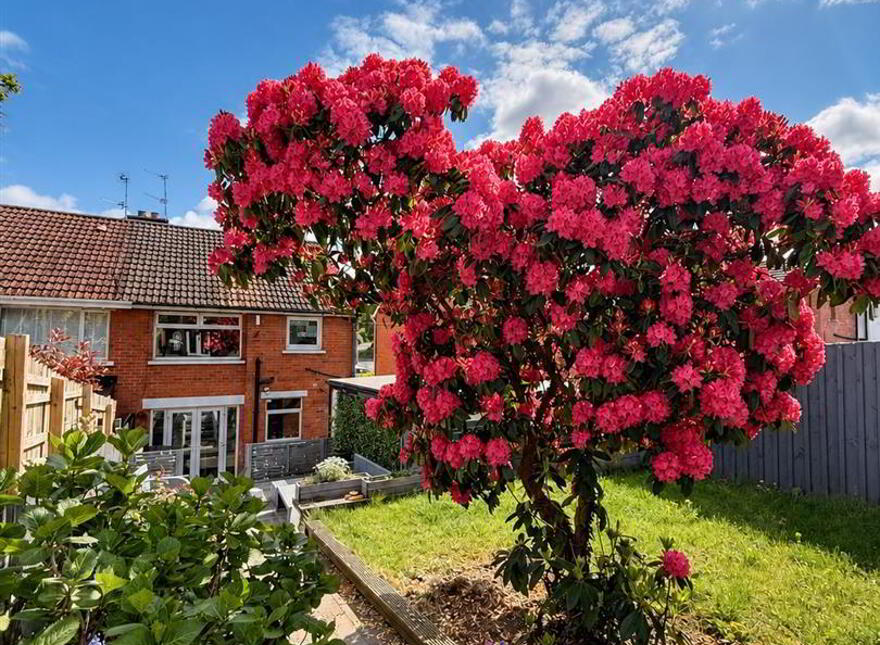 61 Ballygowan Road, Belfast, BT5 7LJ