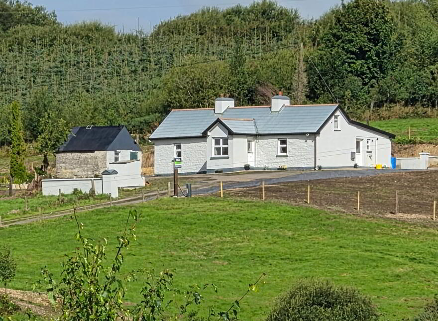 Derrindrehid, Aghavas, H12CF95