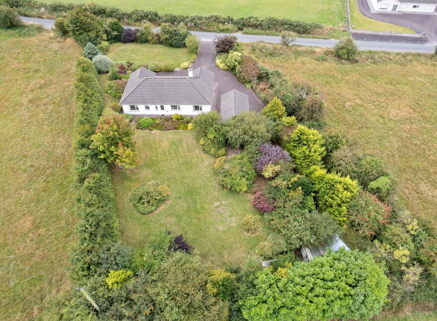 Lissard, Burnfort, P51W142