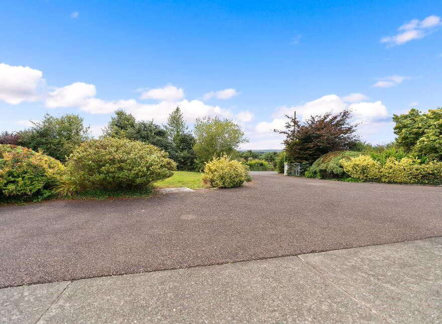 Lissard, Burnfort, P51W142