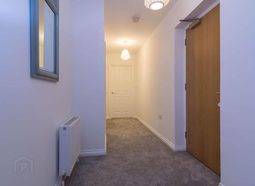 217 Saint Annes Square, Hector Court, 10 Edward Street, Belfast, BT1 2LR
