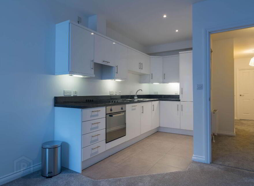 217 Saint Annes Square, Hector Court, 10 Edward Street, Belfast, BT1 2LR
