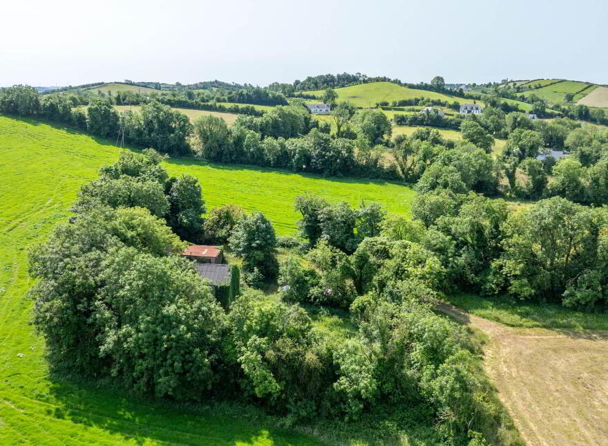 Blackstep, Bailieborough
