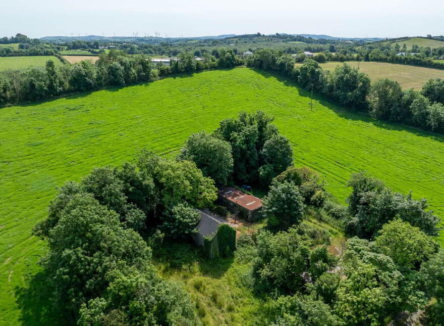 Blackstep, Bailieborough
