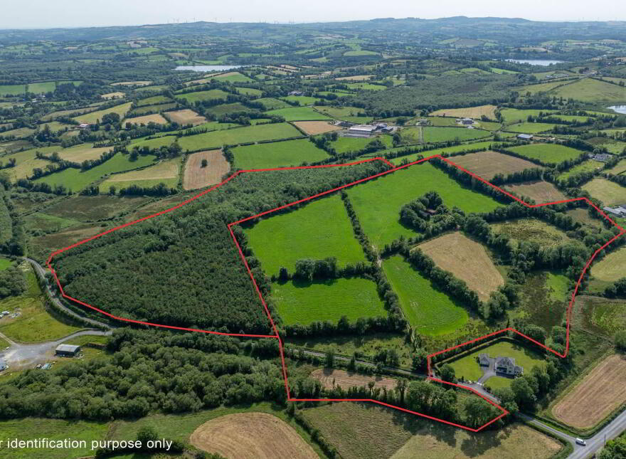 Blackstep, Bailieborough