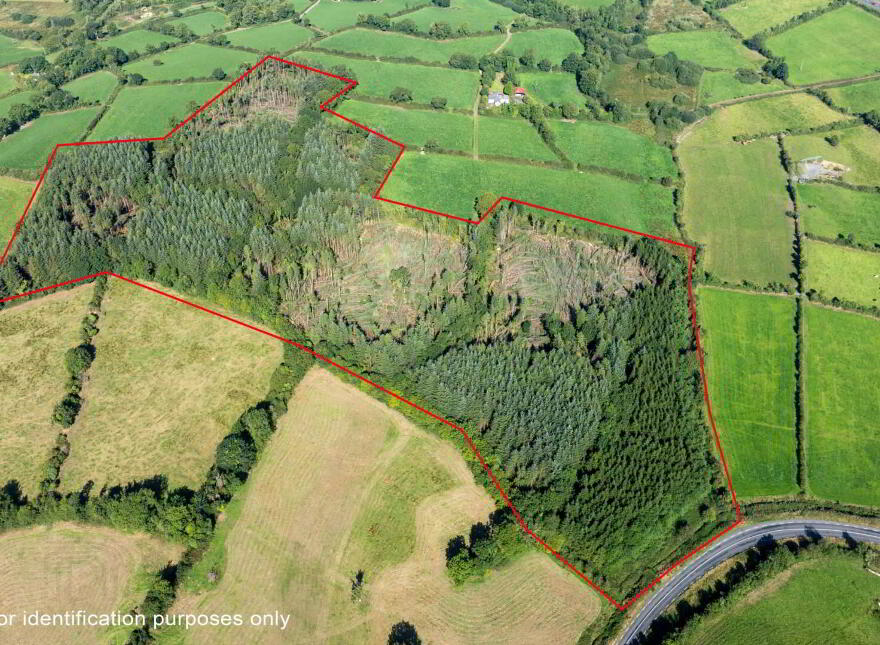 Corracarrow, Ballyjamesduff
