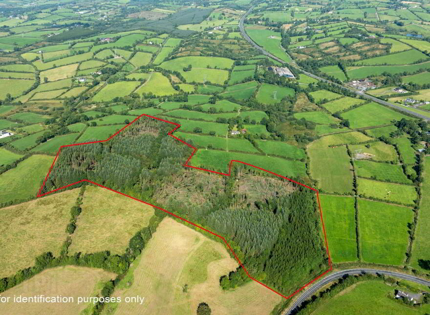 Corracarrow, Ballyjamesduff