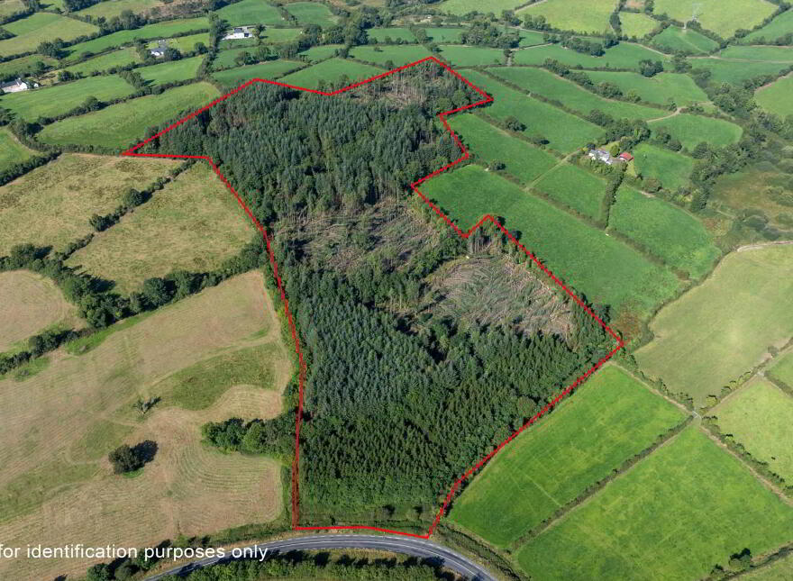 Corracarrow, Ballyjamesduff photo