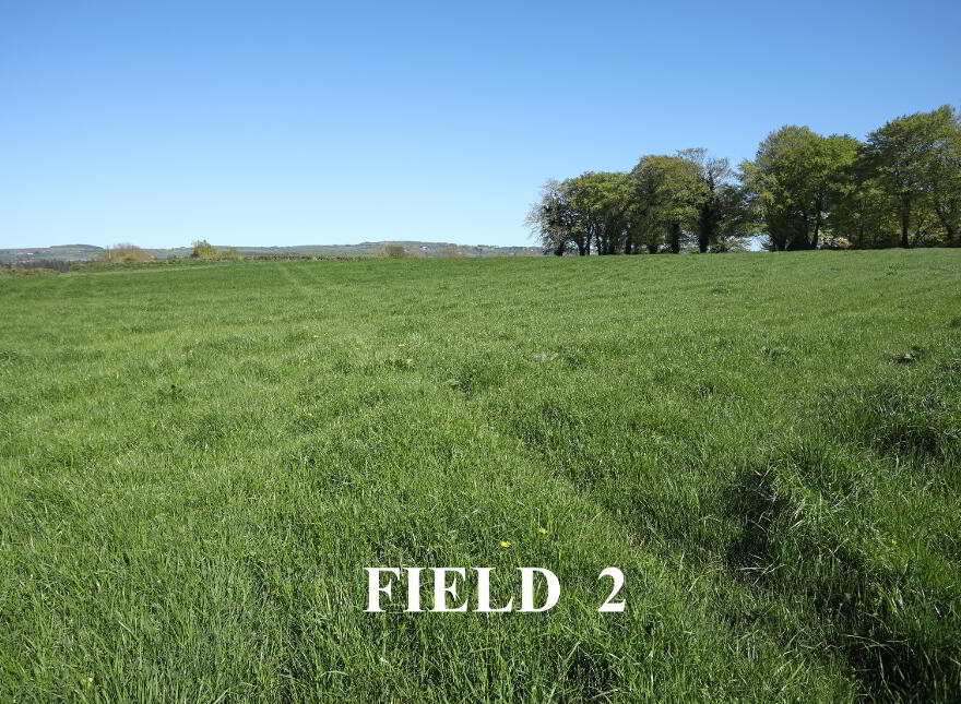 Adj. 168 Ballynease Road, Portglenone, BT44 8NU