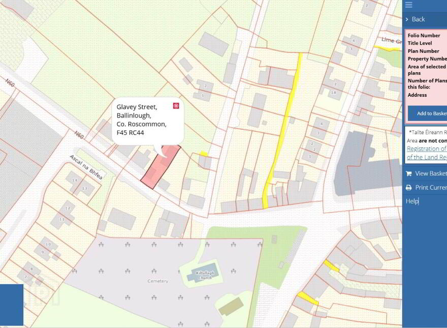 Glavey Street, Ballinlough, F45RC44