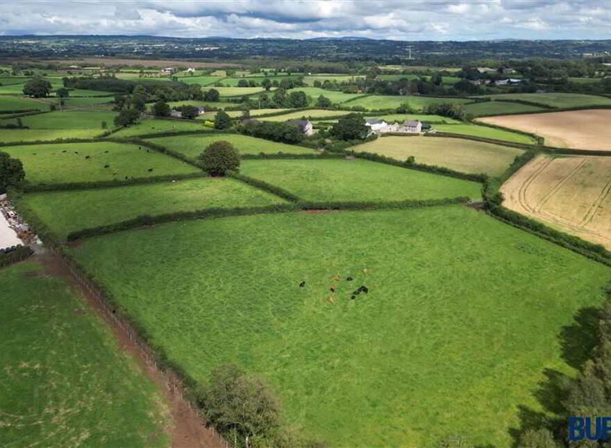 Lands Opposite, 8 Gorse Road, Kilrea, BT51 5SZ