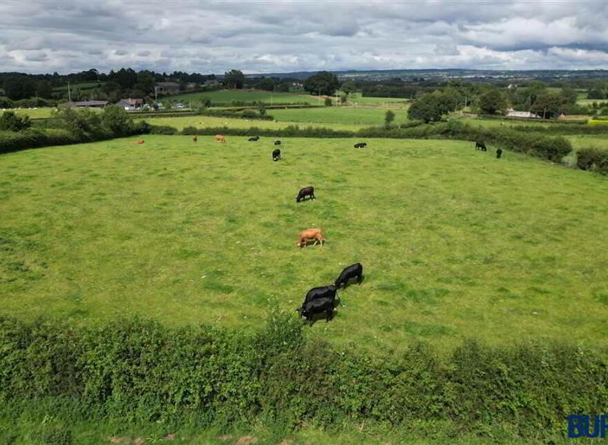 Lands Opposite, 8 Gorse Road, Kilrea, BT51 5SZ
