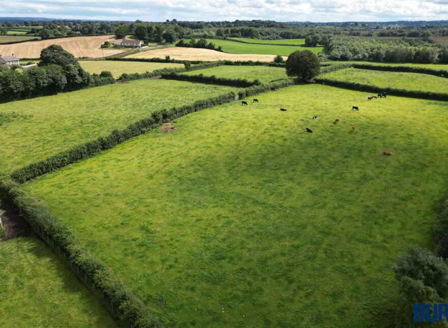Lands Opposite, 8 Gorse Road, Kilrea, BT51 5SZ