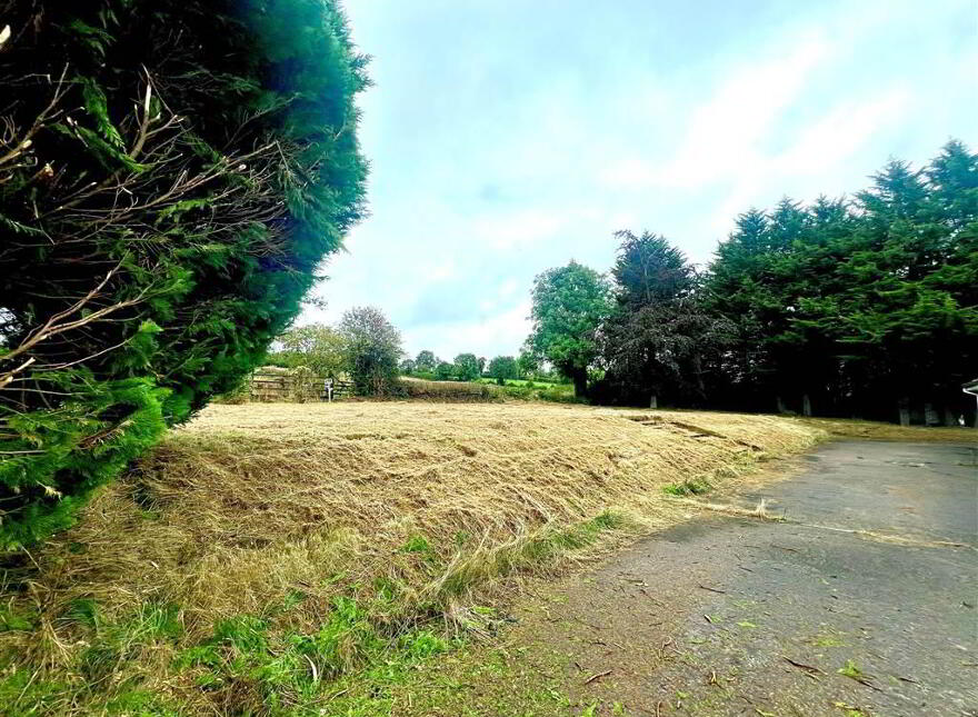 131 Dromore Road, Banbridge, BT32 4EQ