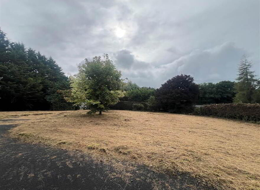 131 Dromore Road, Banbridge, BT32 4EQ
