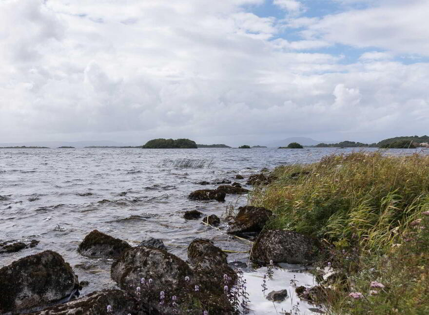 Ashfield, Ballycurrin Demesne, Ower, Headford, H91ECF1