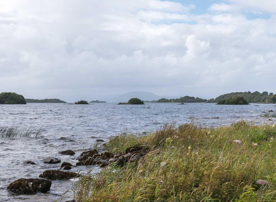 Ashfield, Ballycurrin Demesne, Ower, Headford, H91ECF1