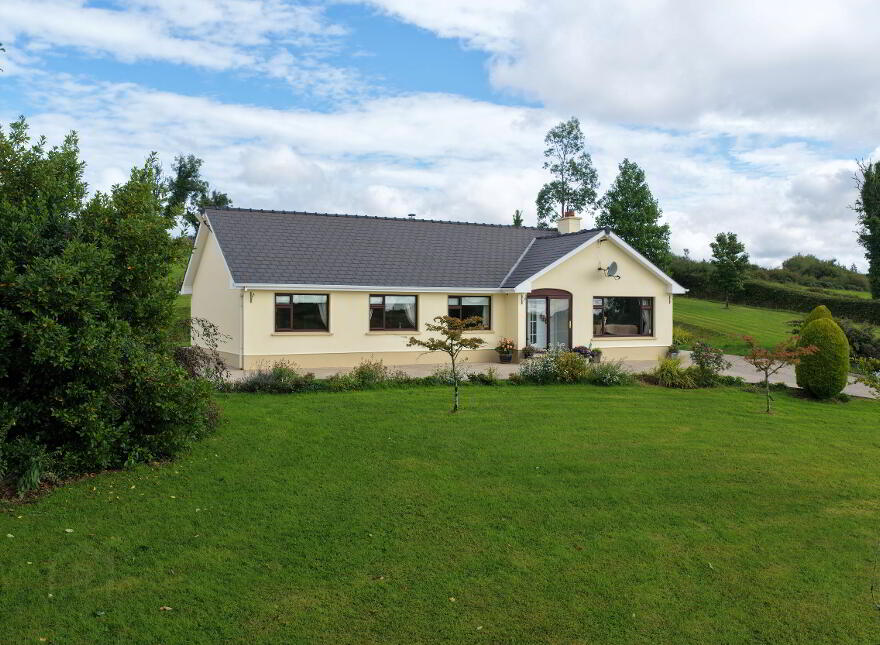 Cornabrone, Drumcong, N41T447