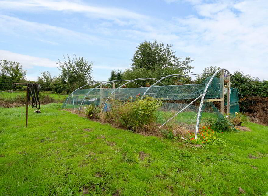 Sessiaghoneill, Ballybofey, F93C3N2