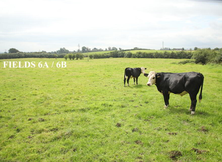 Adj.. 37 Ballymaconnolly Road, Rasharkin, BT44 8TA