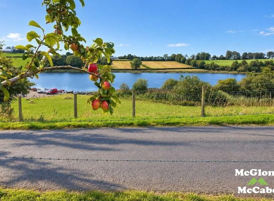 Adj To & North Of 24 Cullion Road, Edendork, Dungannon, BT71 4DS