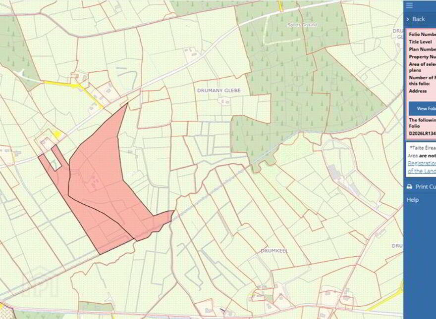 Drumany Glebe, Killargue, Dromahair, F91V389