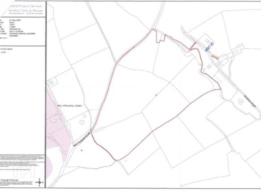 Land At, Ballylough Road And To The Rear Of 24 School Road, Castlewellan, BT31 9NS
