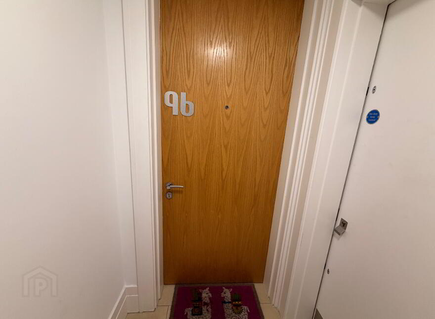 96 JAMES CLOW, 15 Princes Dock Street, Belfast, BT1 3DS